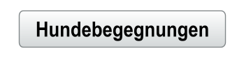 Hundebegegnungen