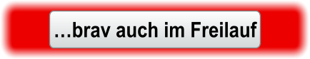 brav auch im Freilauf