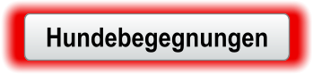 Hundebegegnungen